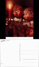 Ansichtskarte  Mecki