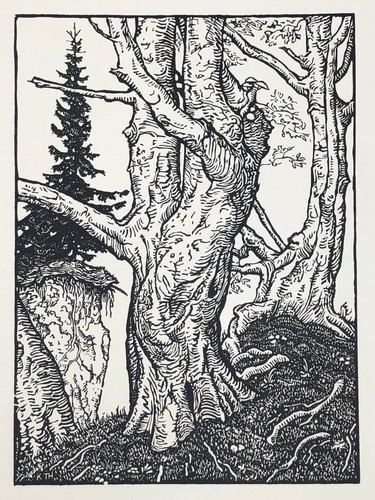 Karl thylmann - karl, (1888–1916)