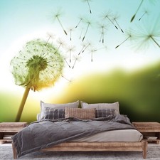 Fototapete Pusteblume Blumenwiese Blumen Sonne Wohnzimmer VLIES TAPETE KLEISTER