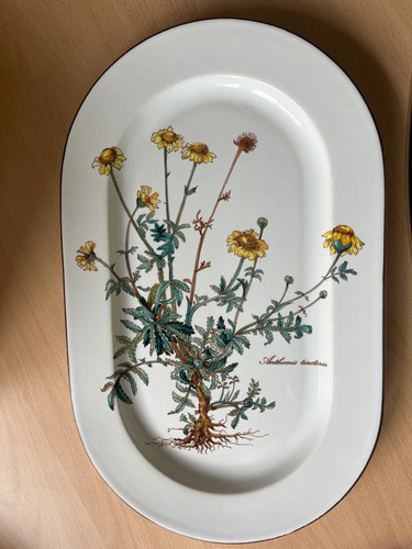 Villeroy boch botanica platte - botanica,