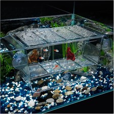 Aquarium Fischbrutkasten