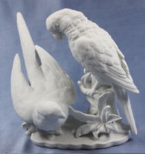 papagei papageien paar vogel