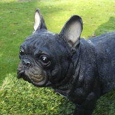 Gartenfigur hund 48cm lang - hund,