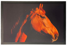 Fußmatte Schmutzfangmatte rutschfest Pferd F022