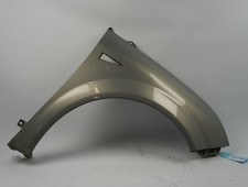 Vordere Rechte Kotflügel