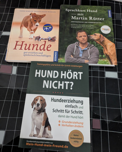 Buch hund hört nicht - 3x,