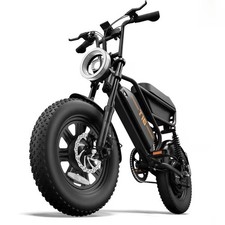 16 Zoll Fettreifen E-Bike 250W