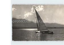 Segelboote Segeljolle T.Y.C. Thunersee 