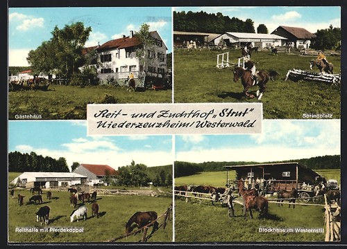 Niederzeuzheim westerwald - ak,