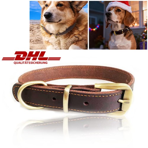 Hundehalsband leder hunde - hundehalsband,