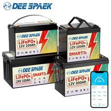 12V 24V 100Ah 300Ah LiFePO4 Lithium Batterie BMS Akku Solar RV Solaranlage DE
