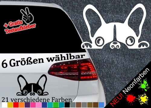 Französisch bulldogge - französisch,