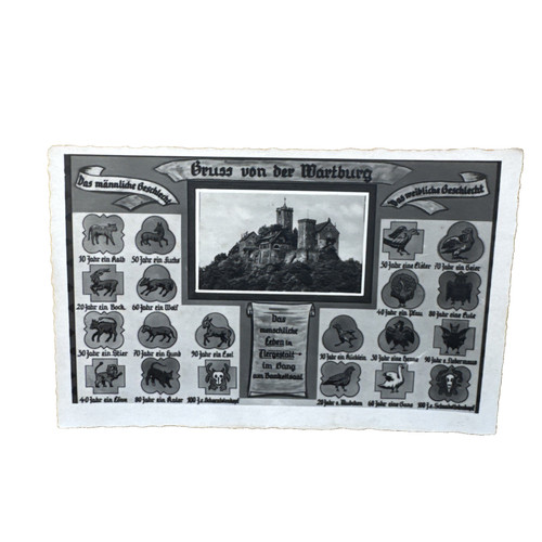 Postkarte eisenach wartburg - postkarte,