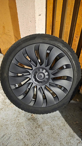 Tesla model zoll gemini - model,