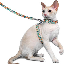 Supet Katzengeschirr Leine