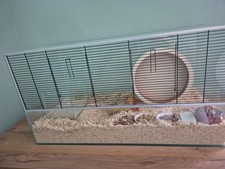 Hamsterkäfig Glas Zubehör mit Zubehör