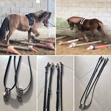 Dreieckszügel Ausbinder COB Biothane