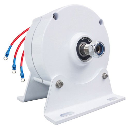 800w 12v 48v permanentmagnet - --48v,