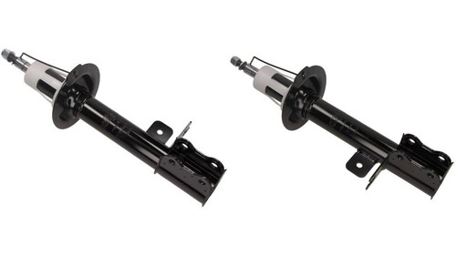 Stoßdämpfer hinterachse - 2x,
