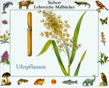 Lehrreiche malbücher - lehrreiche,
