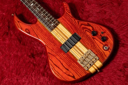 Aria pro r60 electric - pro, ii