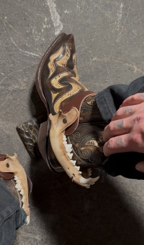 Coyote jaw spurs straps set - jaw,