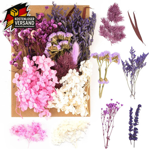 Getrocknete blumen paket für - paket,