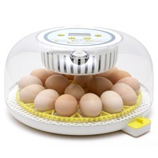 Inkubator Brutkasten