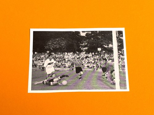 Verlag world cup 1954 - ws,