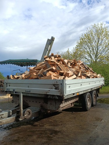 Brennholz kaminholz - 3, rm