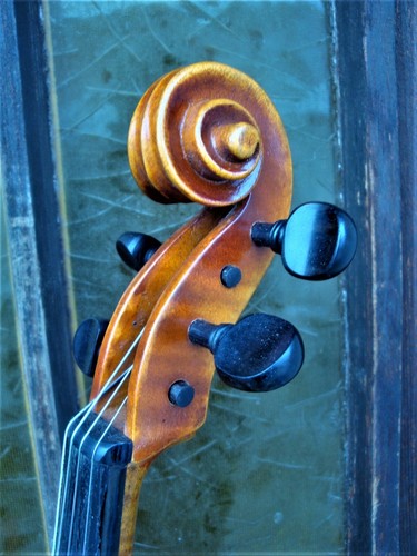 Bratsche viola 40 cm - , ~40