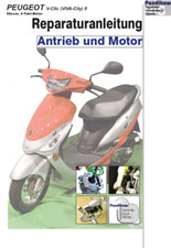 Reparaturanleitung RIS für