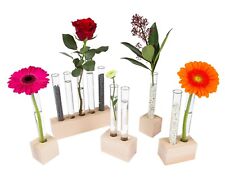 Tuuters Reagenzglas Vase aus