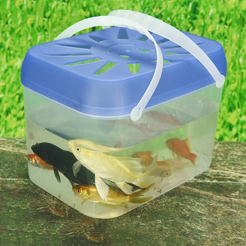 Fischzuchtbox