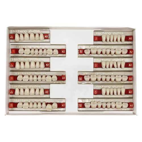 Falsche zahnersatz sets - falsche, zahnersatz-sets