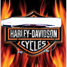 Harley Softail 00-17