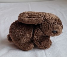 Niedliches kleines Häschen