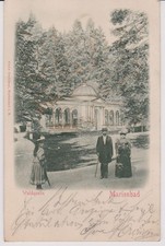 Relief-Ansichtskarte Marienbad, Waldquelle, gel. 19.8.1904
