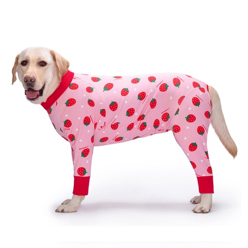 Hunde einteiler erholung - hunde,
