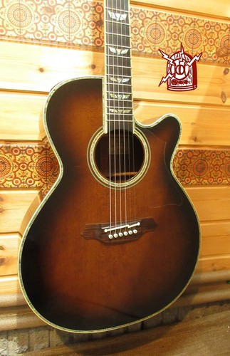 Takamine dsp530 2004 - takamine,