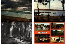 FOTOGRAFIE "VIGNES" FOTOKUNST