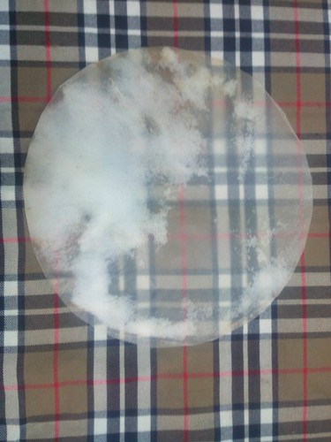 Banjo drum head - banjo,