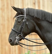 Busse Kandare Kandarenzaum