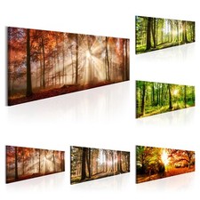 WALD NATUR Gemälde auf Acrylglas Druck Bild c-B-0077-k-b