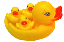 4er-Set Badeenten NETZ