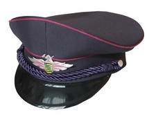 Dienstmütze Schirmmütze