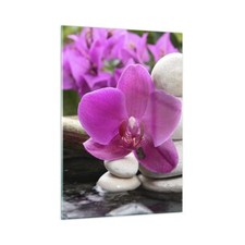 Wandbilder 50x70cm Glasbild