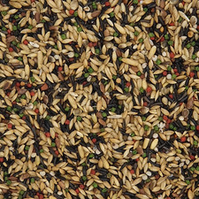 Versele Kanarien Super Zucht