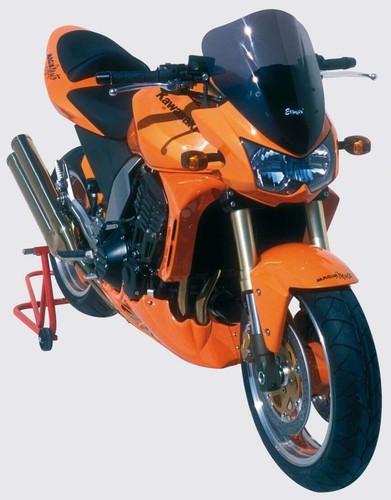 Kawasaki z1000 06 - kawasaki, 03/06