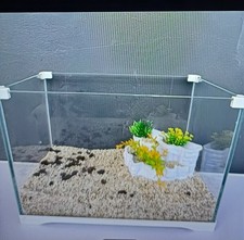 Aquarium Pflanzen kasten